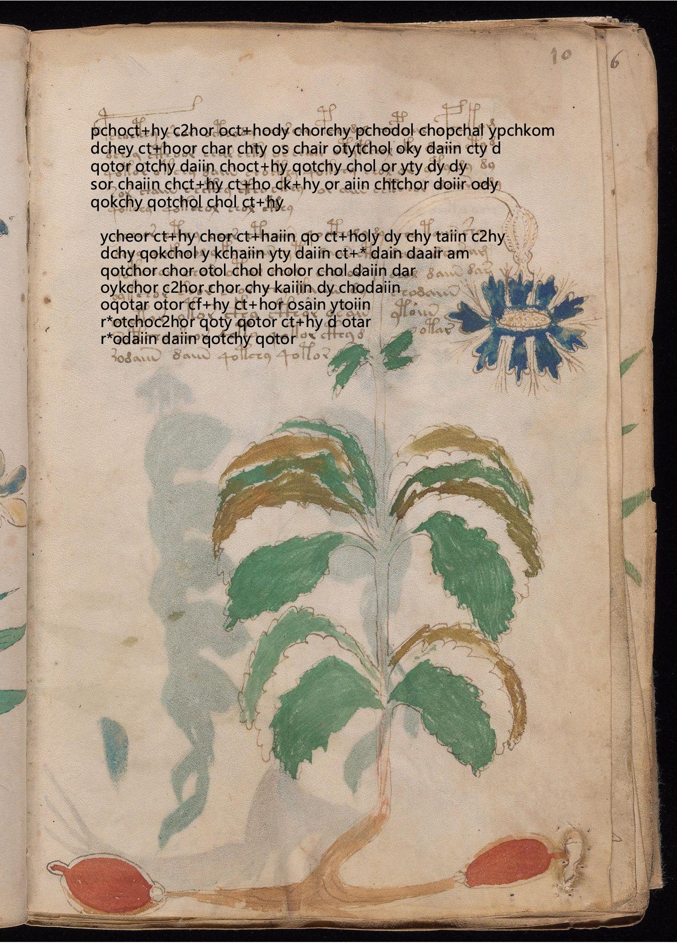 Folio 10r glyph overlay on parchment